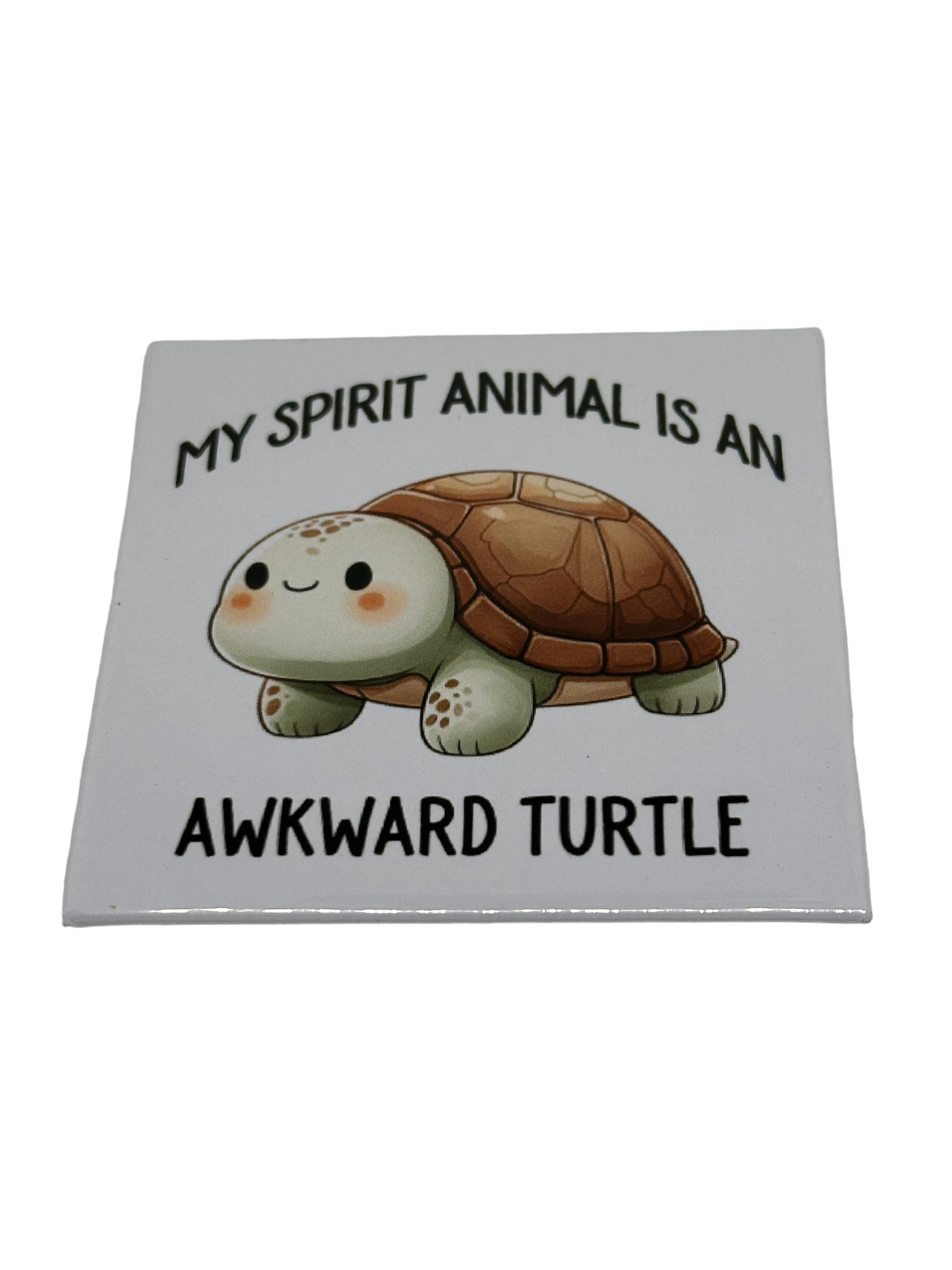 Awkward Turtle Memes